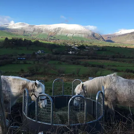 Bed & Breakfast Teac Seain Bar & Anascaul