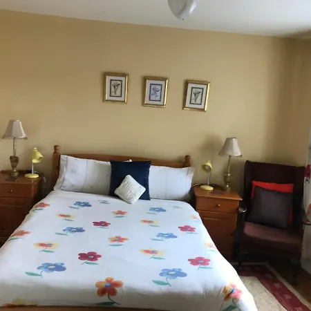 Teac Seain Bar & Bed & Breakfast *