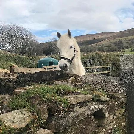 Bed & Breakfast Teac Seain Bar &